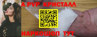 СК Новокубанск