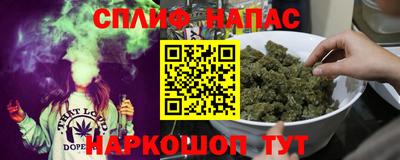 соль ск Новозыбков