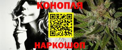 крисы Новодвинск