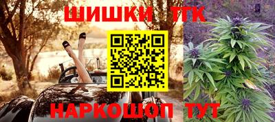 крисы Новодвинск