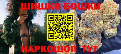 крисы Новодвинск