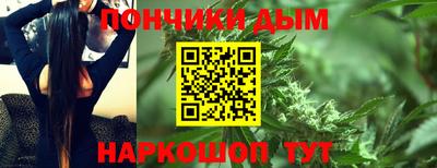 крисы Новодвинск