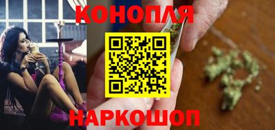 соль ск Новозыбков